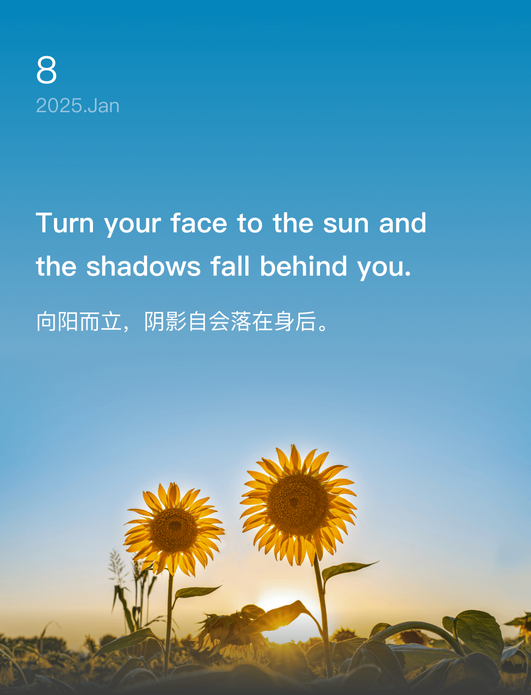 向阳而立，阴影自会落在身后。